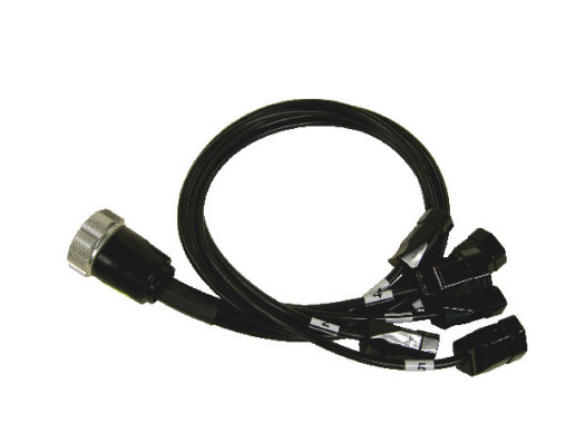 Peitsche Socapex 419 m -> 6 x T13 (Kupplung)